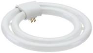 40w 2c Fluo Circ Lamp