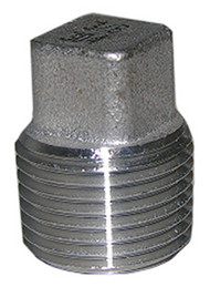1/4" Ss Pipe Plug
