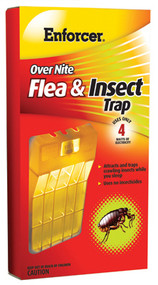 Overnite Flea Trap