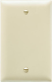 Ivy 1g Blnk Wall Plate