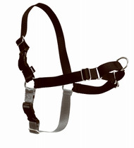 Med/lg Sport Harness