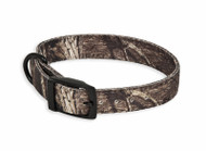 1x-20-24 Oak Inf Collar