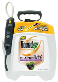 1.33gal Wild Blackberry