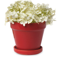 4.5" Paprika Std Pot