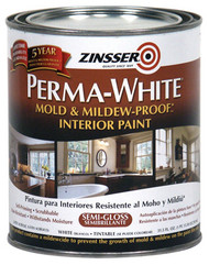 Qt Wht Sg Mold Paint