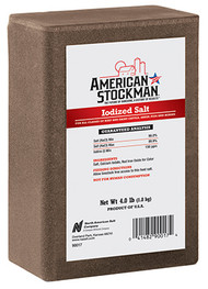 4lb Iodized Salt Brick