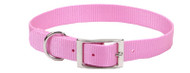 1x20 Pnk Nyl Collar