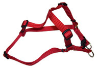 1" 26-38 Red Harness