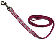 1" Pnk Flam Refl Leash