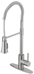 Bp Ss Sgl Kitch Faucet