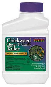 Pt Conc Clover Killer