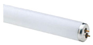 Wp 48" 32w T8 Fluo Tube
