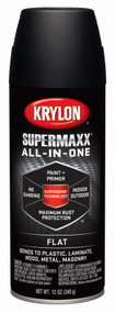 12oz Blk Flt Paint