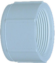2" Wht Cap Threaded