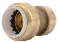 3/4x3/4 Ctspvc Coupling