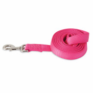 1x6 Pnk Dog Leash