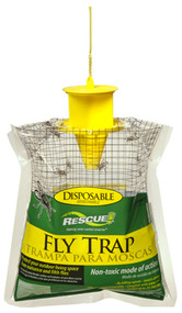 Disp Fly Trap