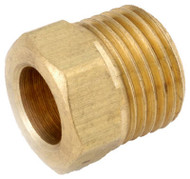 1/4" Brs Inv Fl Nut
