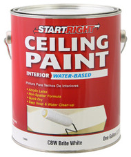Sr Gal Wht Ceil Paint