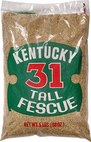 5lb Ky31 Grass Seed