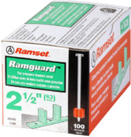 100pk.300x2-1/2 Ram Pin