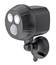 Brn 300lum Spot Light