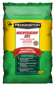 3lb Ky31 Fescue Seed