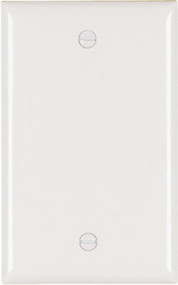 Wht 1g Blnk Nyl Plate