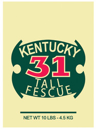 10lb Ky31 Grass Seed