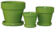 5.5" Grn Std Pot/saucer