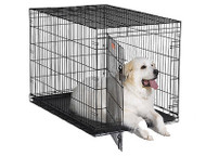 48" Crate Dog Training