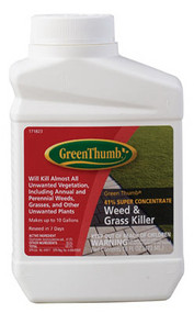 Gt Pt Weed/grass Killer