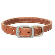 1x21 Canrse Hyb Collar