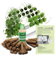 Aerogdn6 Seed System