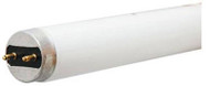 Ge 25w 36" T8 Cw Bulb