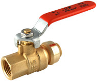 1/2" Fnpt Ball Valve