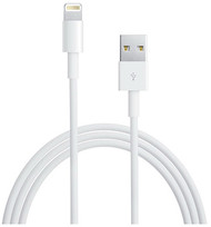 Apple 10'wht Sync Cable