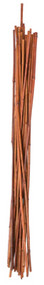 12pk 4' Bamboo Stake