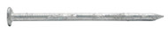 5lb 2.5"8d Wht Cem Nail