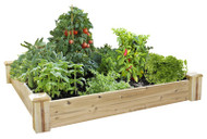 4x4x7 Raised Gdn Kit