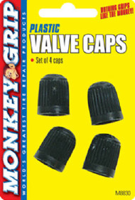 4pk Dome Valve Cap