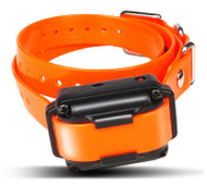 Dogtra Iq Plus Collar