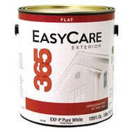 Exfp Gal Past Ext Paint