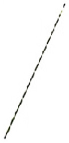 8' Sturdy Stake