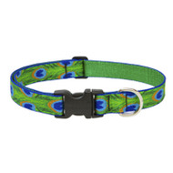 1x12-20 Tf Dog Collar