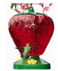 48oz Strawberry Feeder