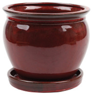 6" Red Wisteria Planter