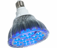 15w Blu Pwrpar Led Bulb