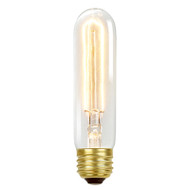 60w T10 Vintage Bulb