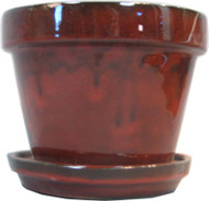 8-1/4" Tropical Red Pot